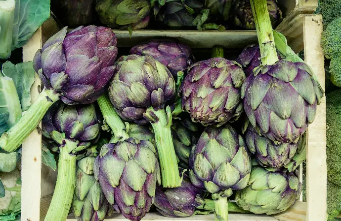 close-up photography of green and purple vegetables